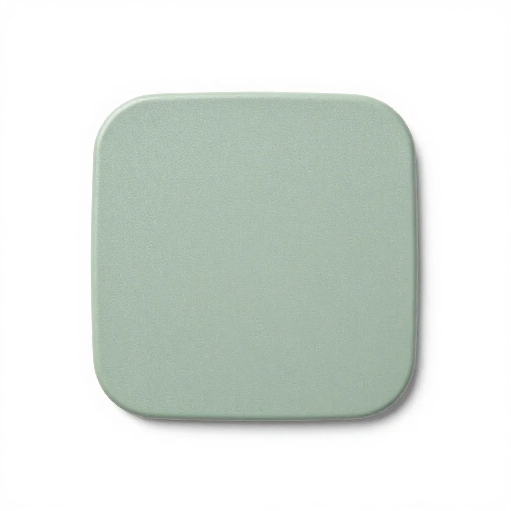 Lap isolated on a white background
