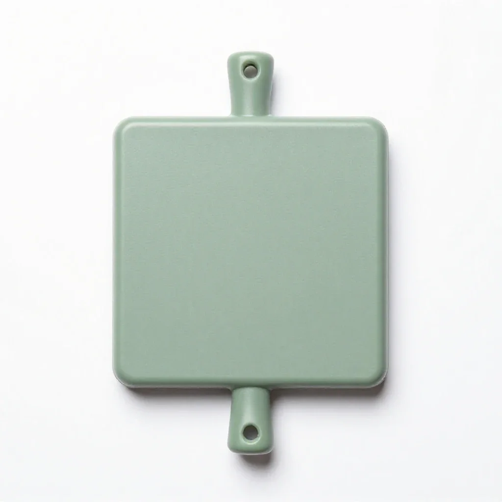 Lathi isolated on a white background