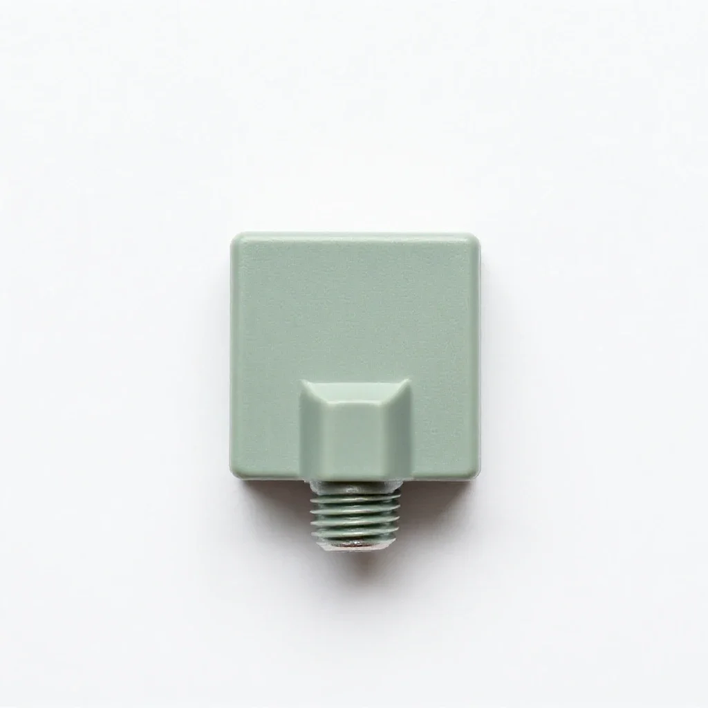 Plug fuse isolated on a white background