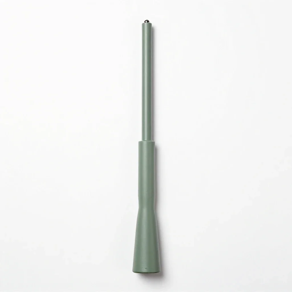 Ramrod isolated on a white background