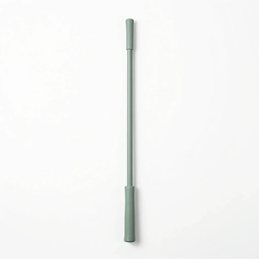 Riding crop isolated on a white background