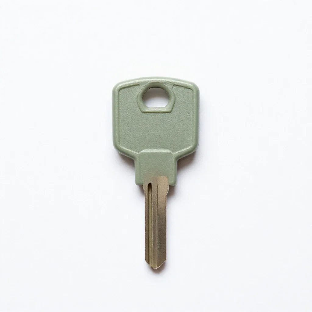 Ignition key isolated on a white background