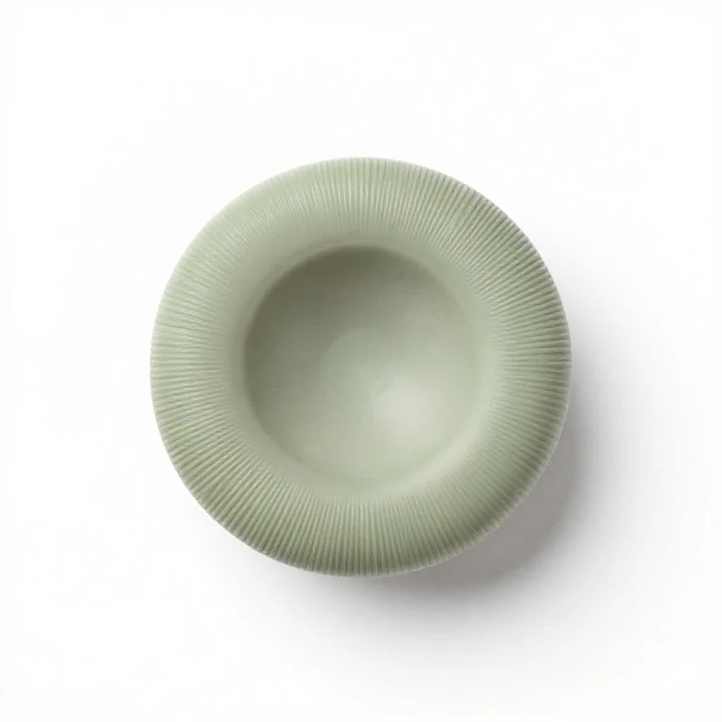 Peridium isolated on a white background