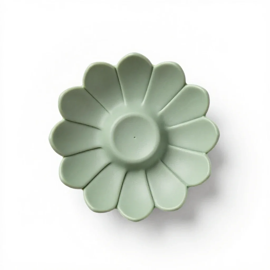 Involucre isolated on a white background