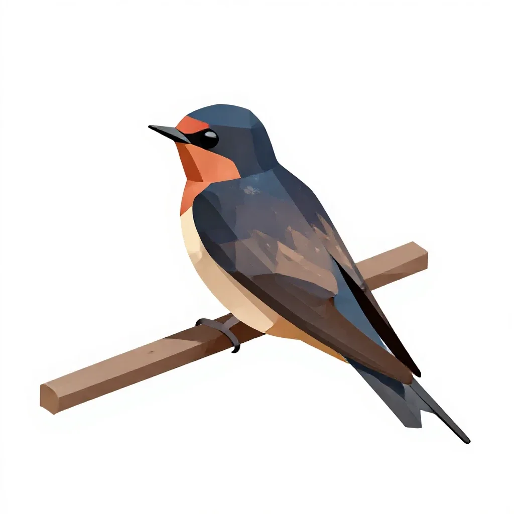 Barn swallow isolated on a white background