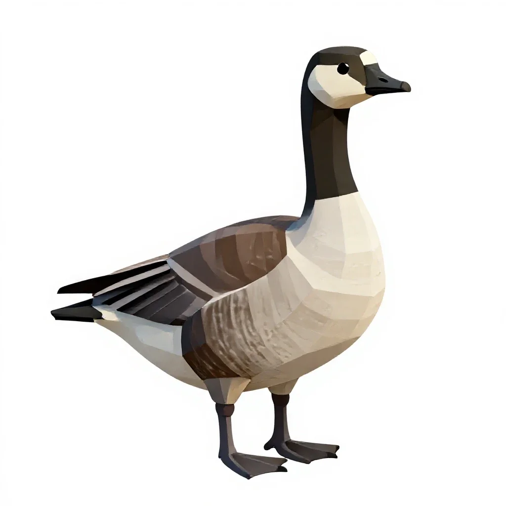 Barnacle goose isolated on a white background