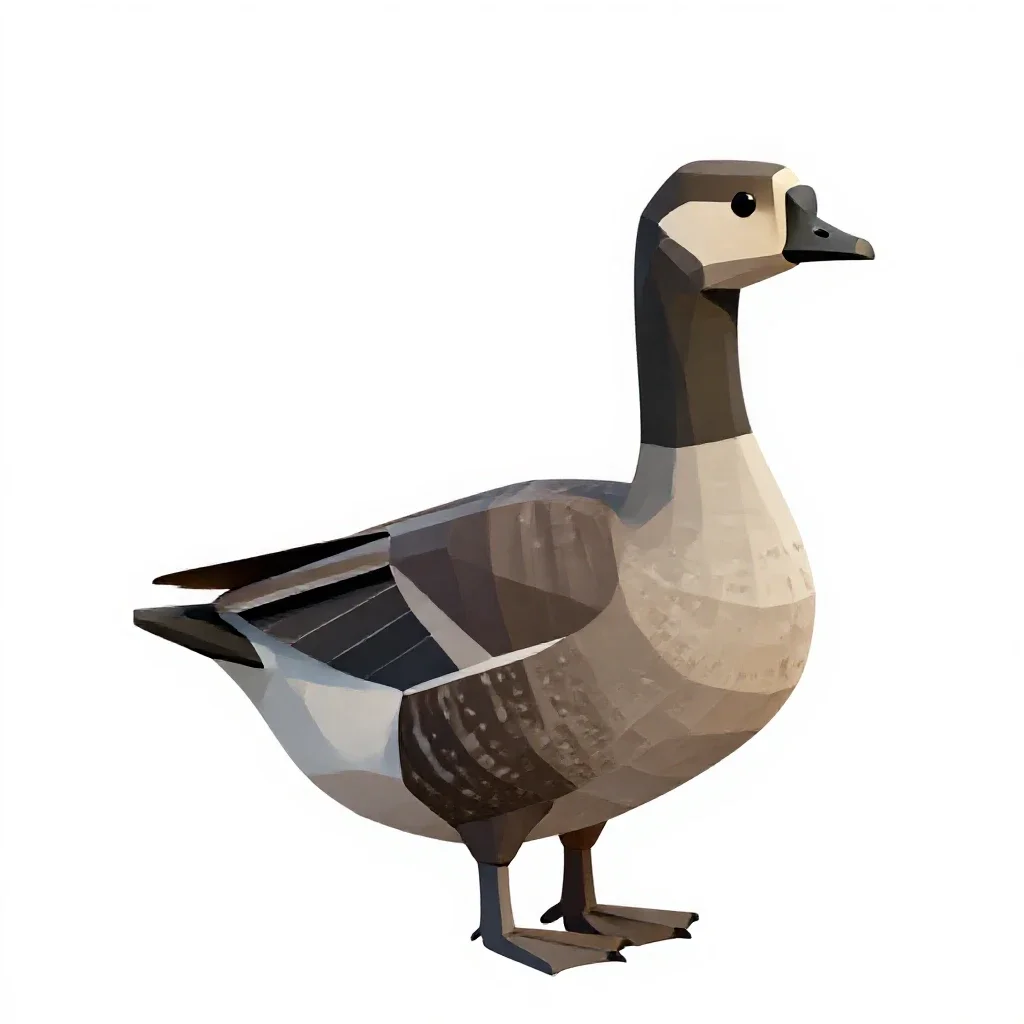 Brant isolated on a white background