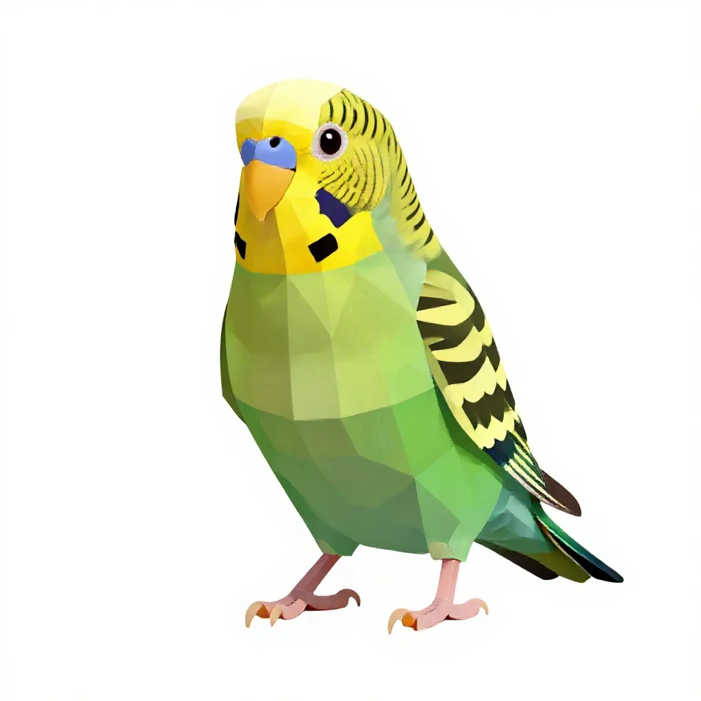 Budgerigar isolated on a white background