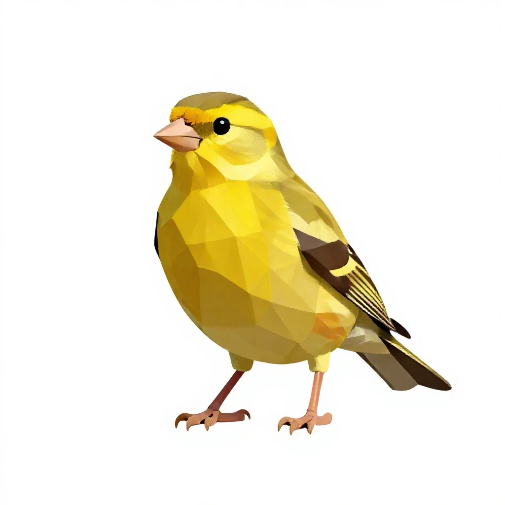 Canary isolated on a white background