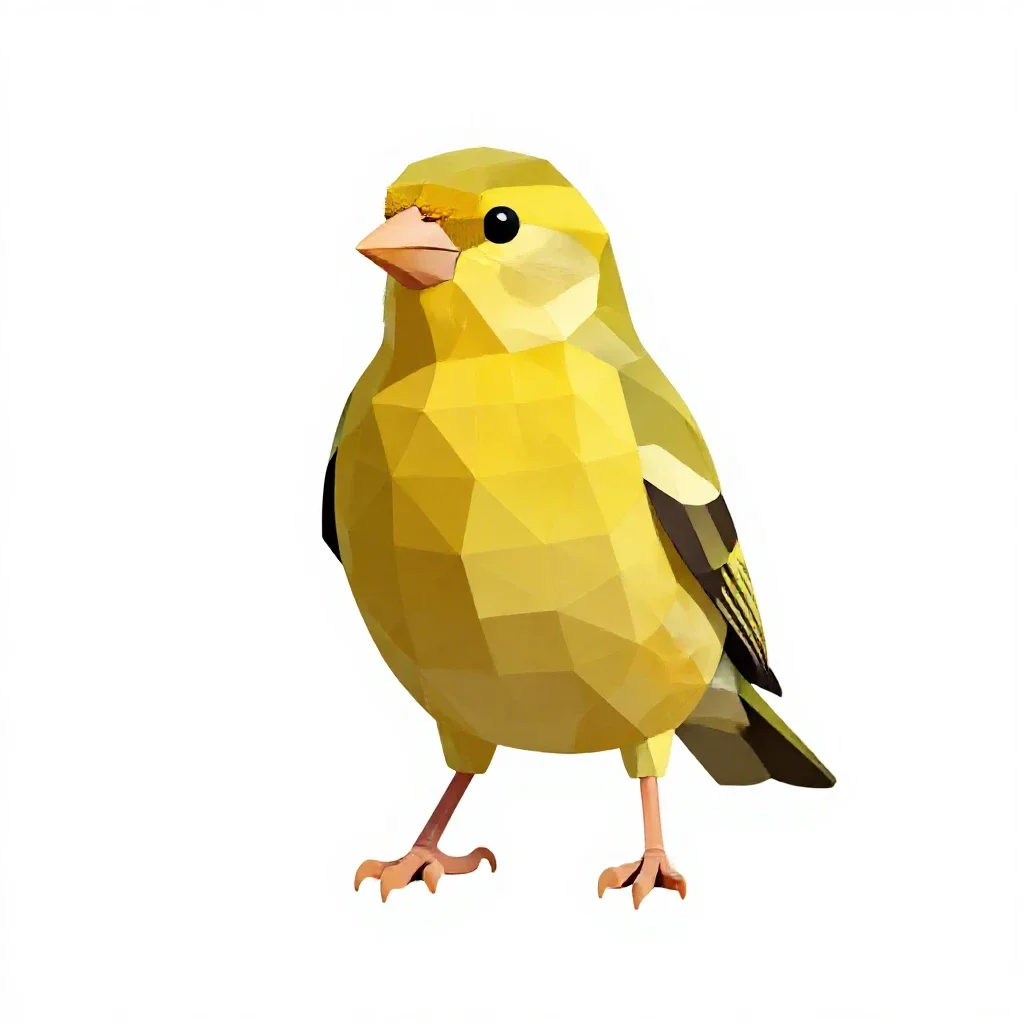 Common canary isolated on a white background