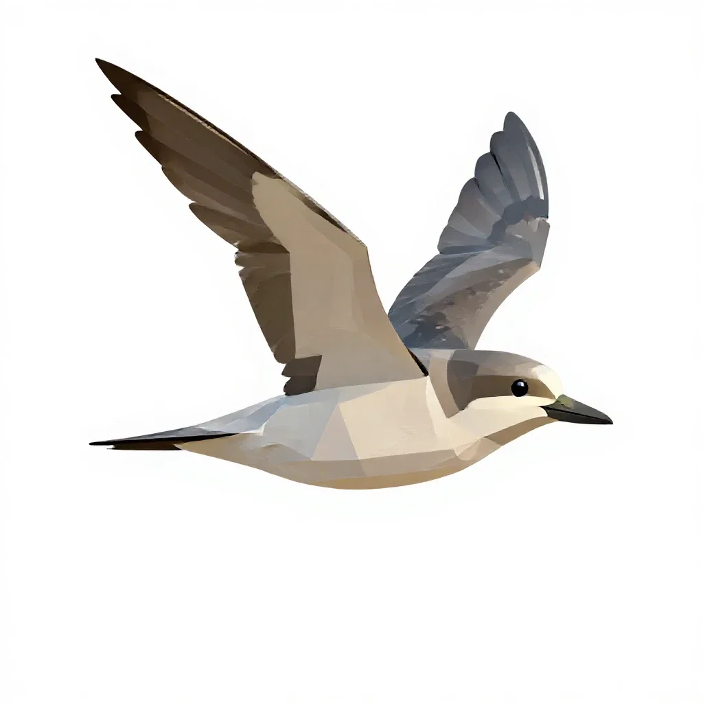 Petrel isolated on a white background