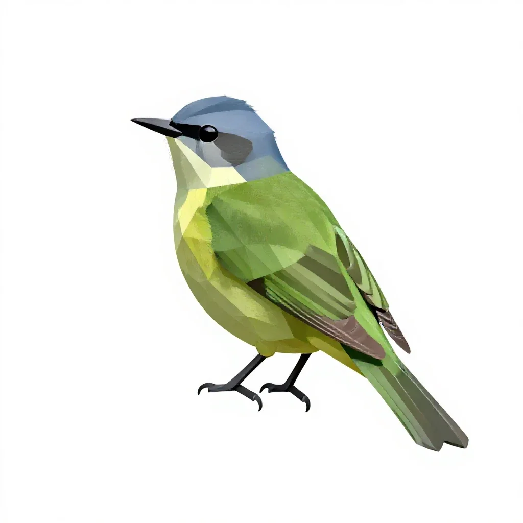 Solitary vireo isolated on a white background