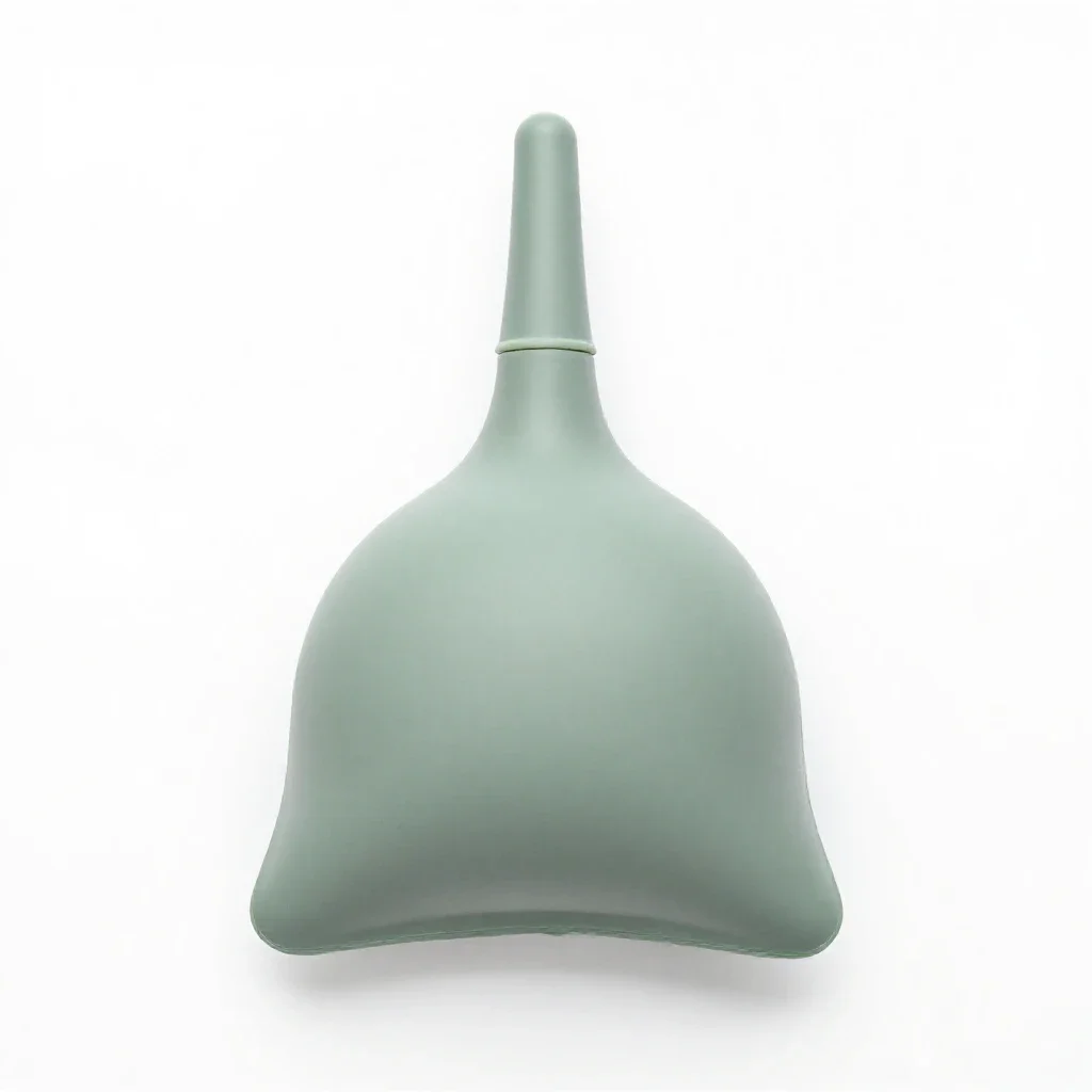 Bladder isolated on a white background