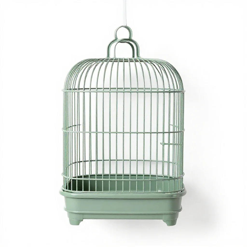 Birdcage isolated on a white background