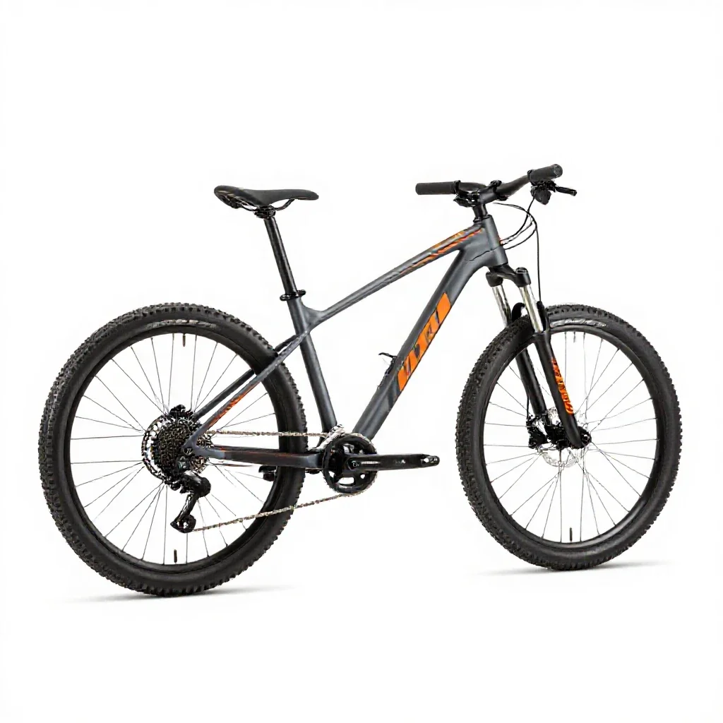 Mountain bike isolated on a white background