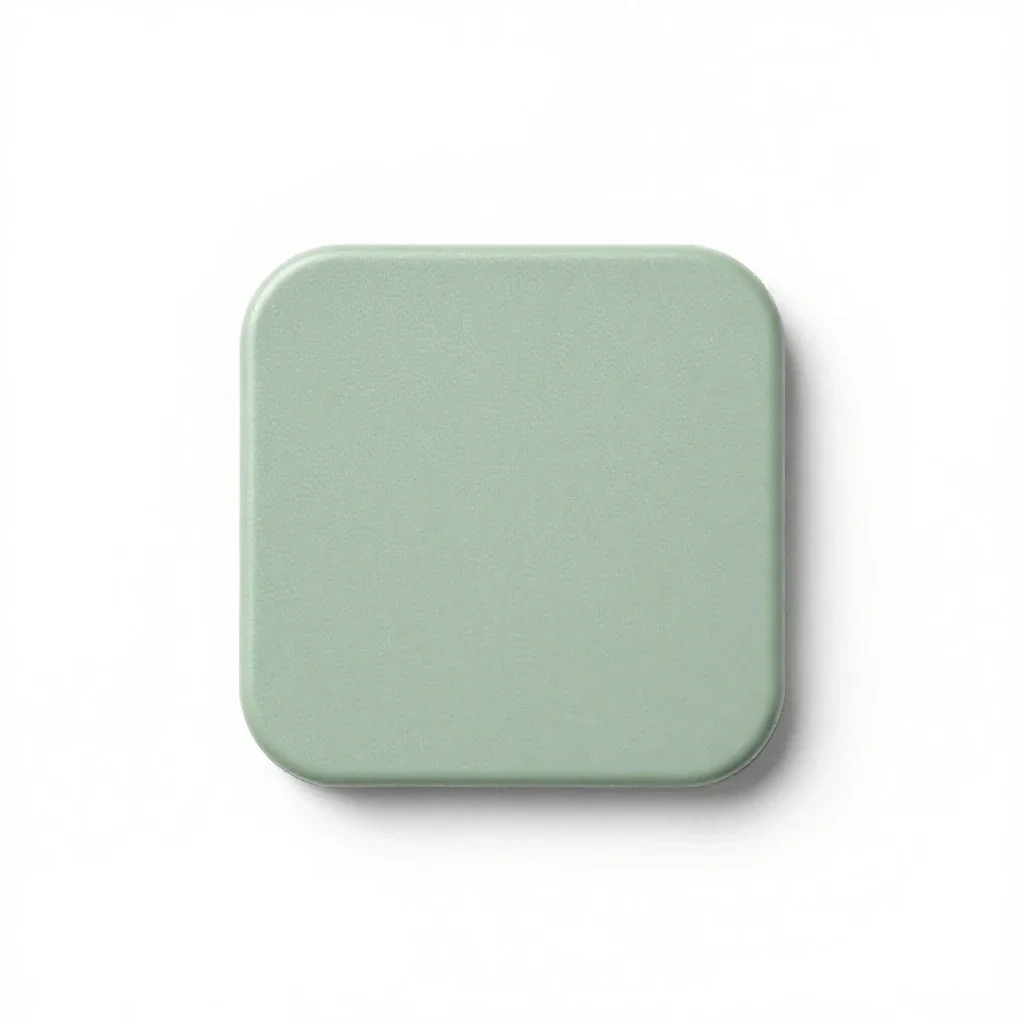 Flatlet isolated on a white background