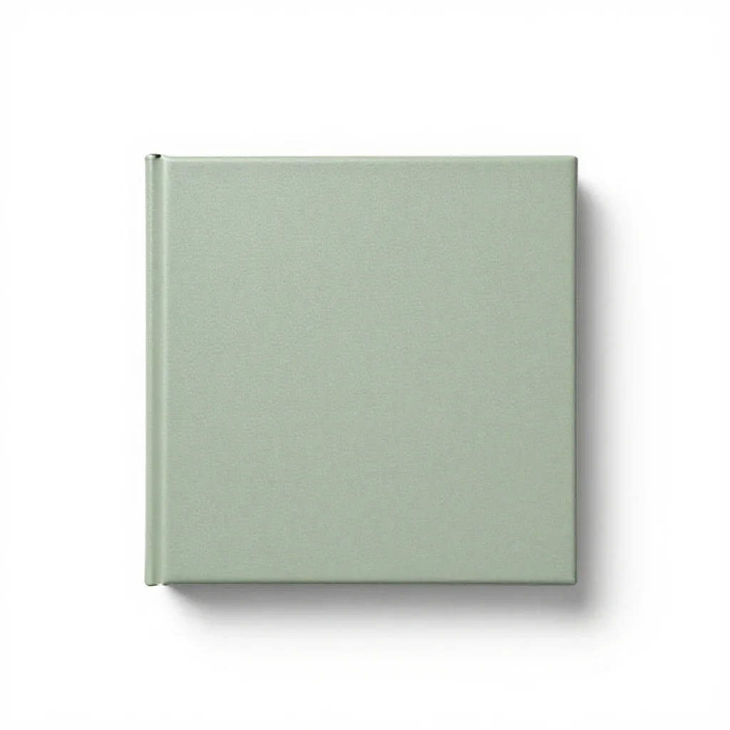 Embassy isolated on a white background