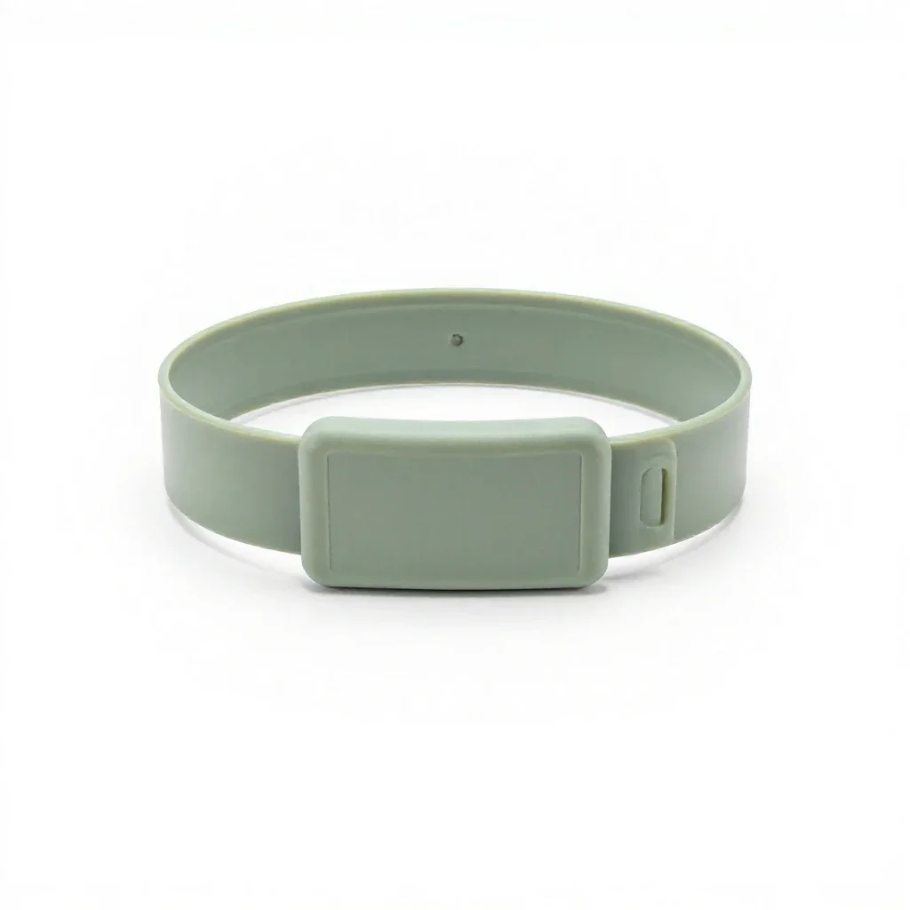 Baldric isolated on a white background
