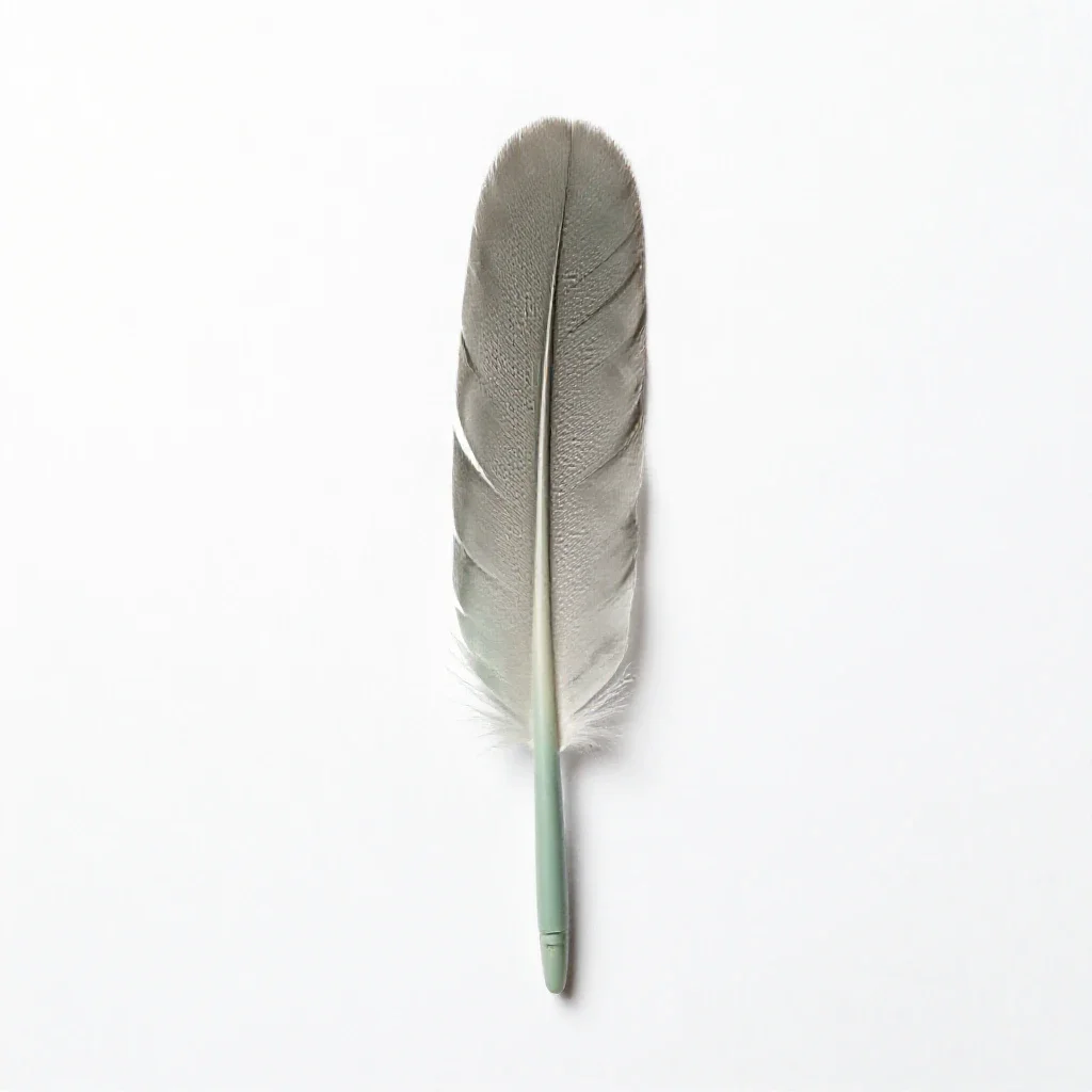 Quill isolated on a white background