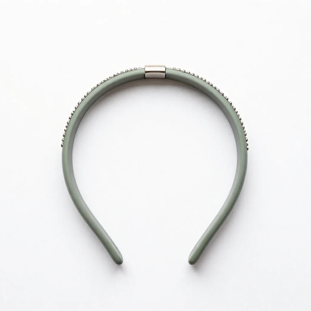 Circlet isolated on a white background