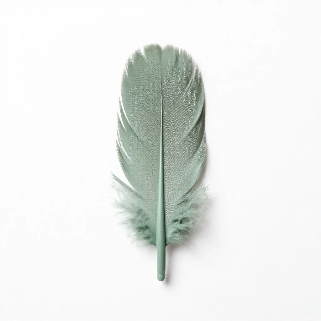 Plume isolated on a white background