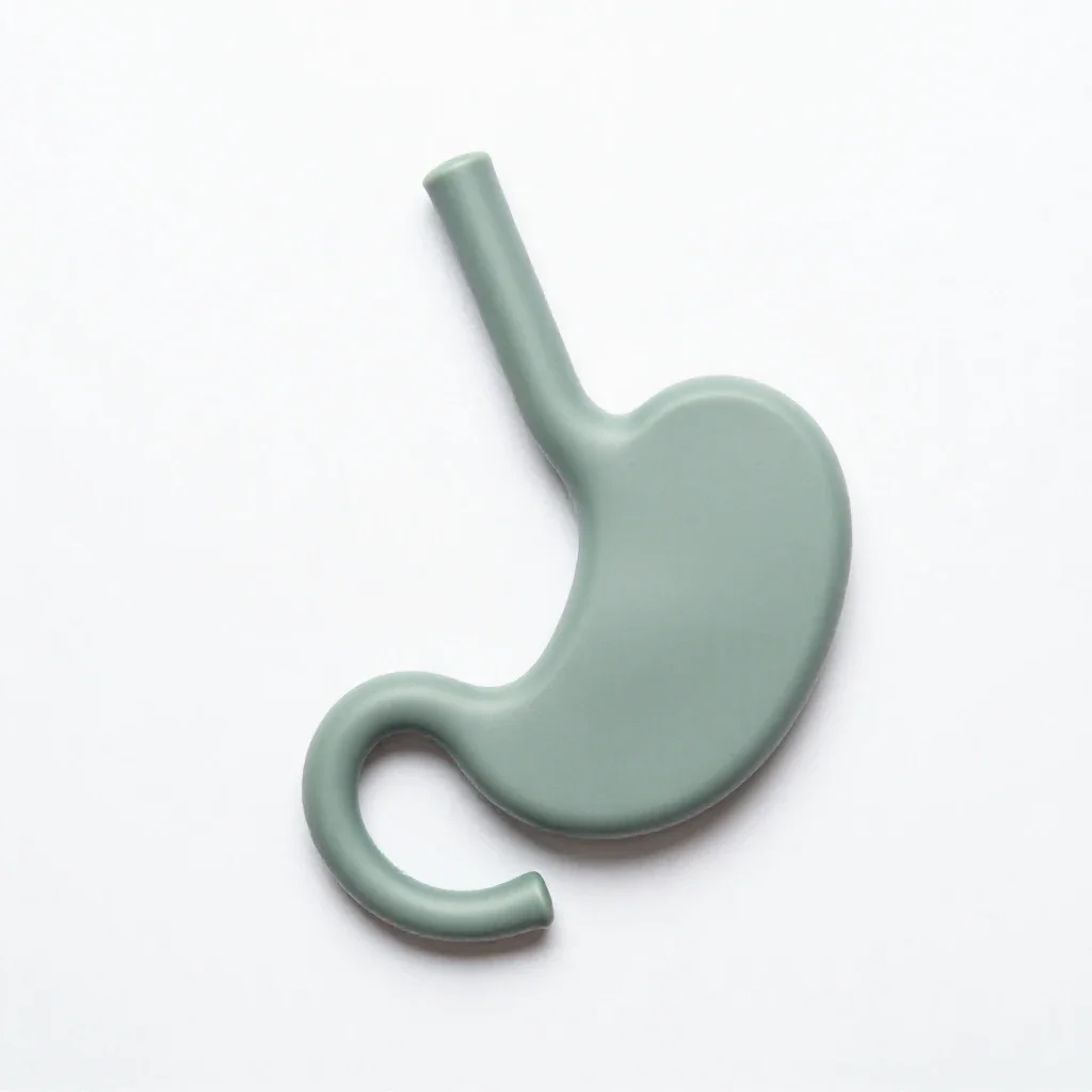 Gastroscope isolated on a white background