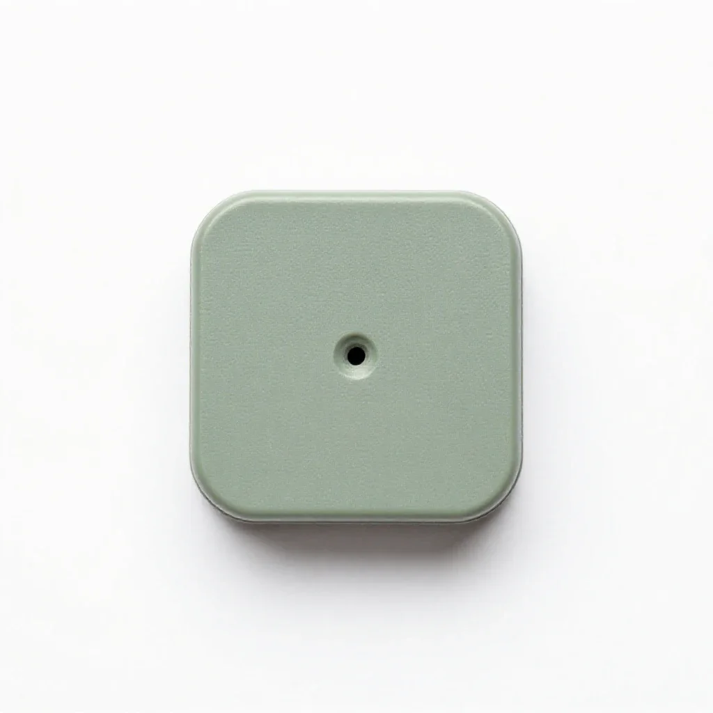 Firing pin isolated on a white background