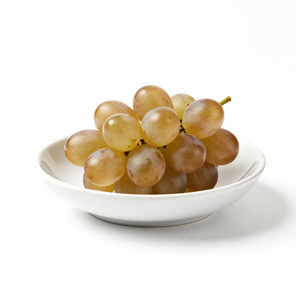 Vintage isolated on a white background