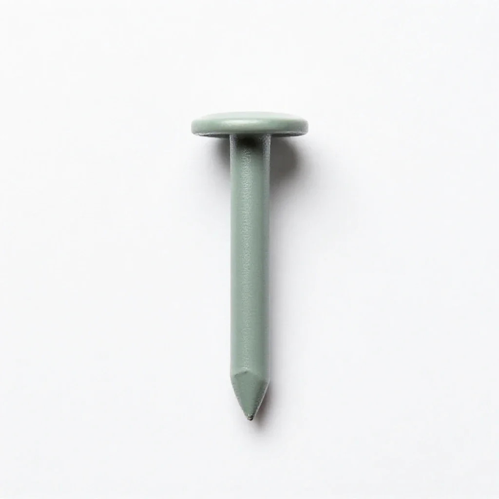 Doornail isolated on a white background