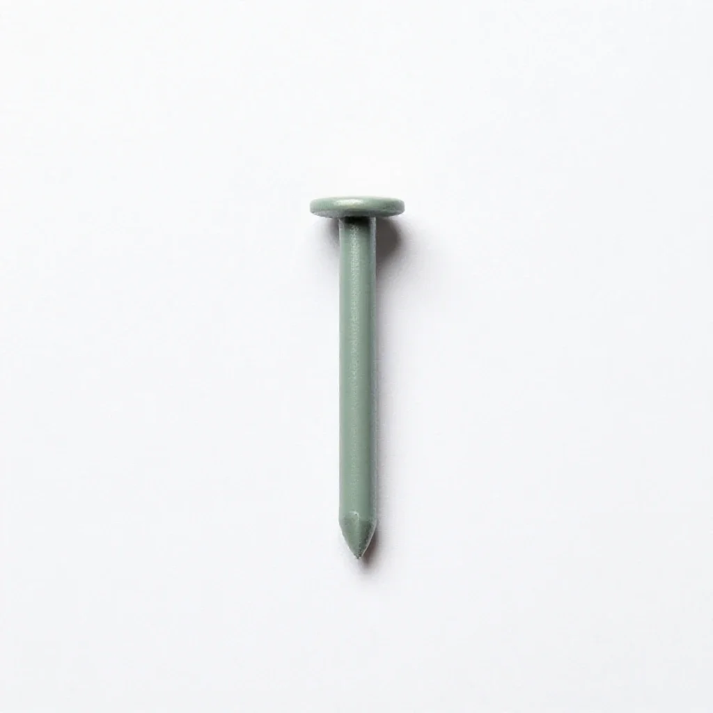 Sixpenny nail isolated on a white background