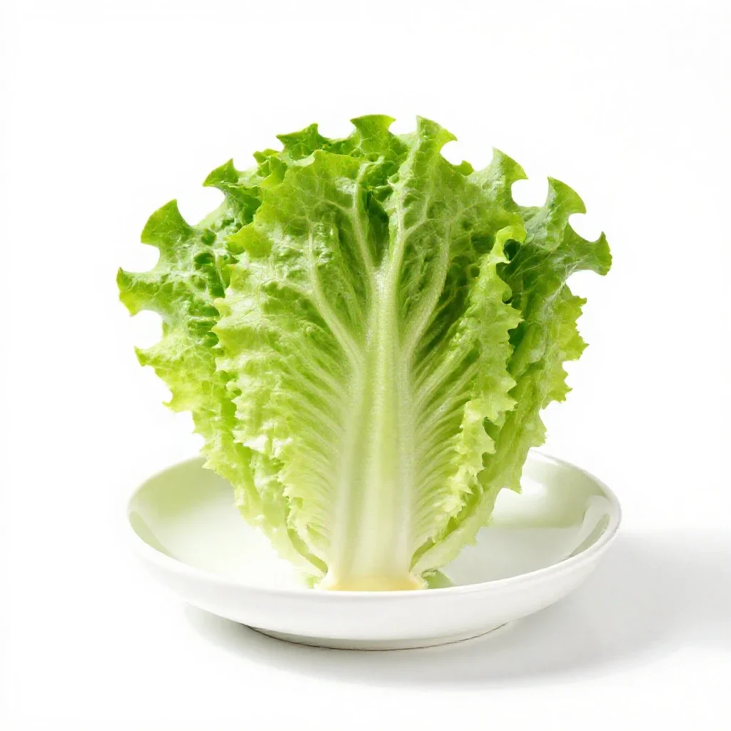 Butterhead lettuce isolated on a white background