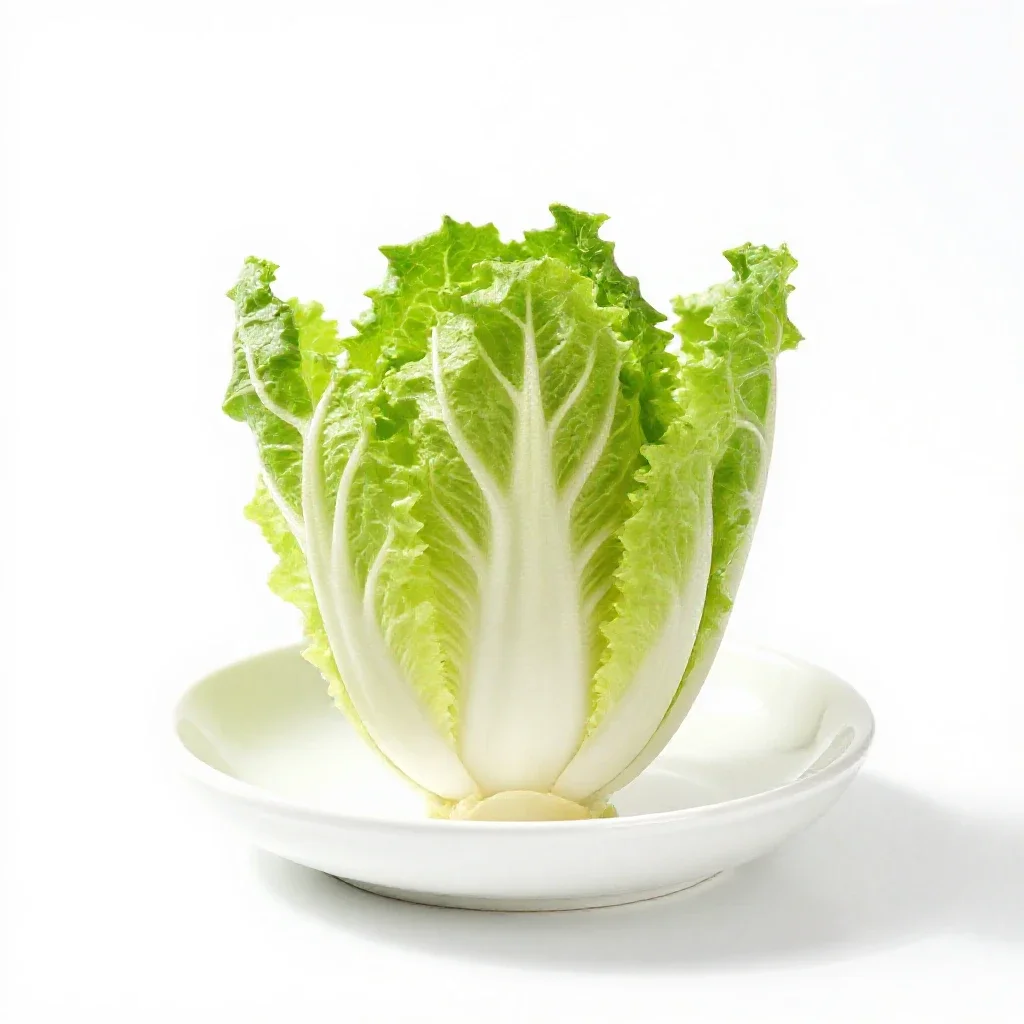 Chicory escarole isolated on a white background