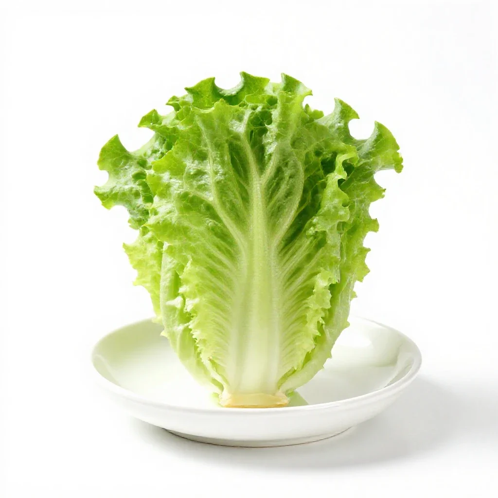 Cos isolated on a white background