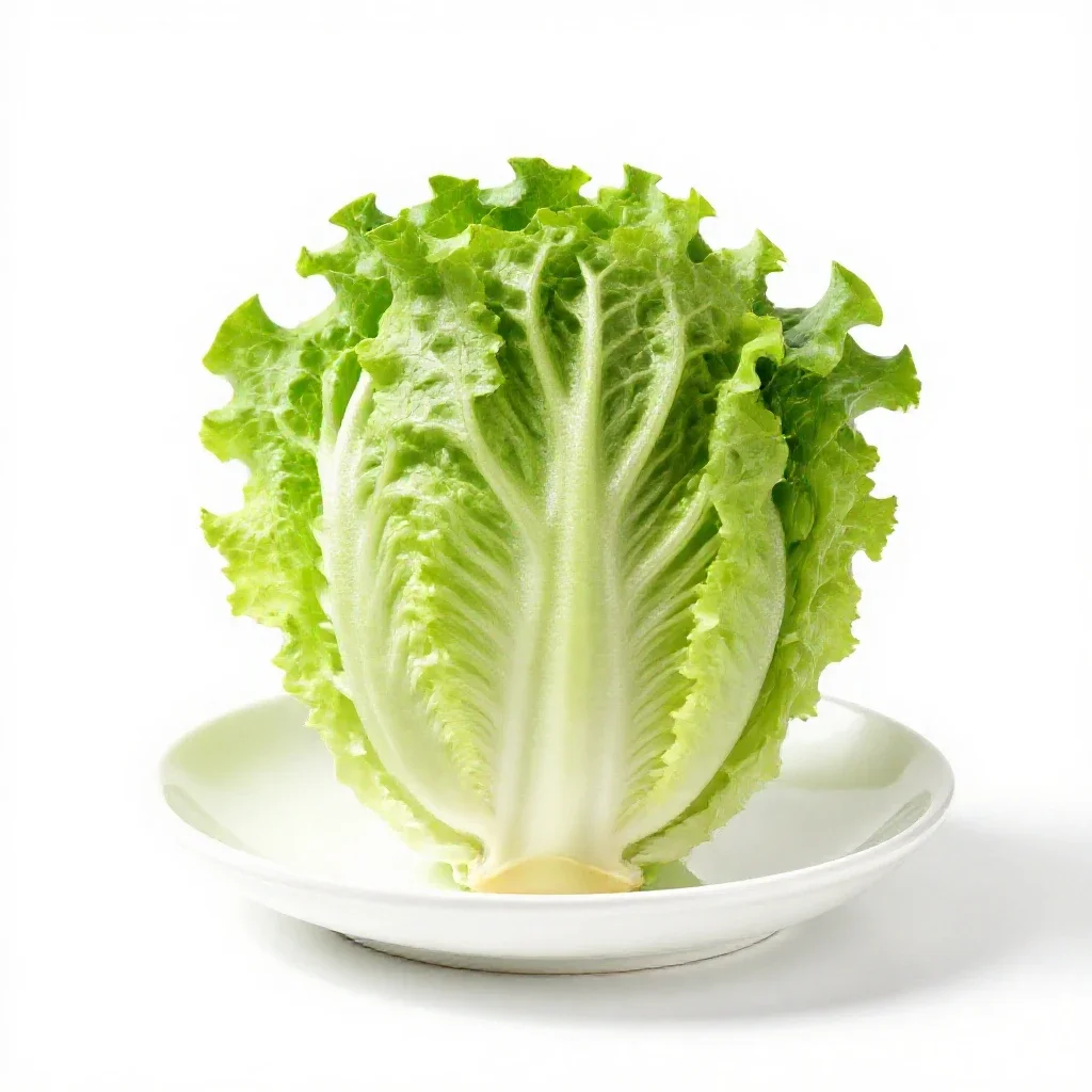 Crisphead lettuce isolated on a white background
