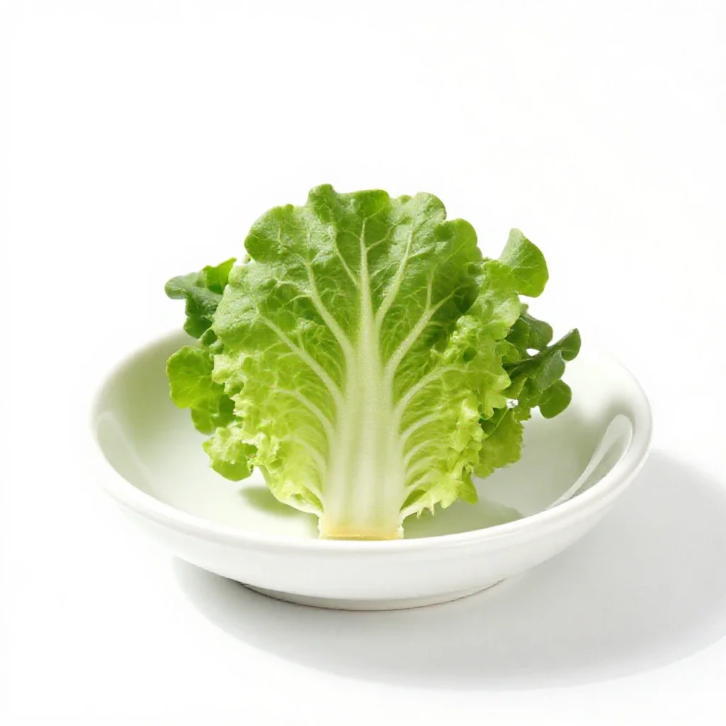 Garden cress isolated on a white background