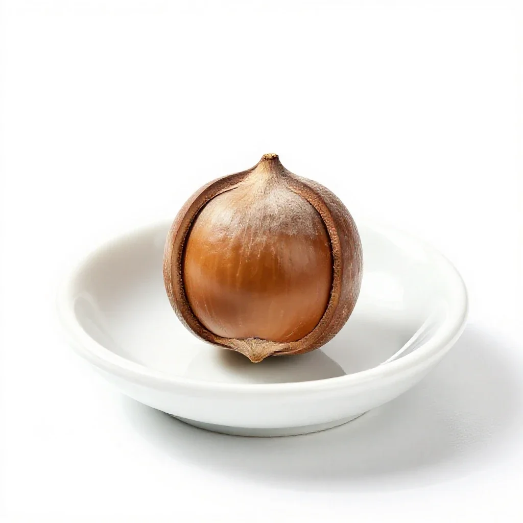 Hickory nut isolated on a white background