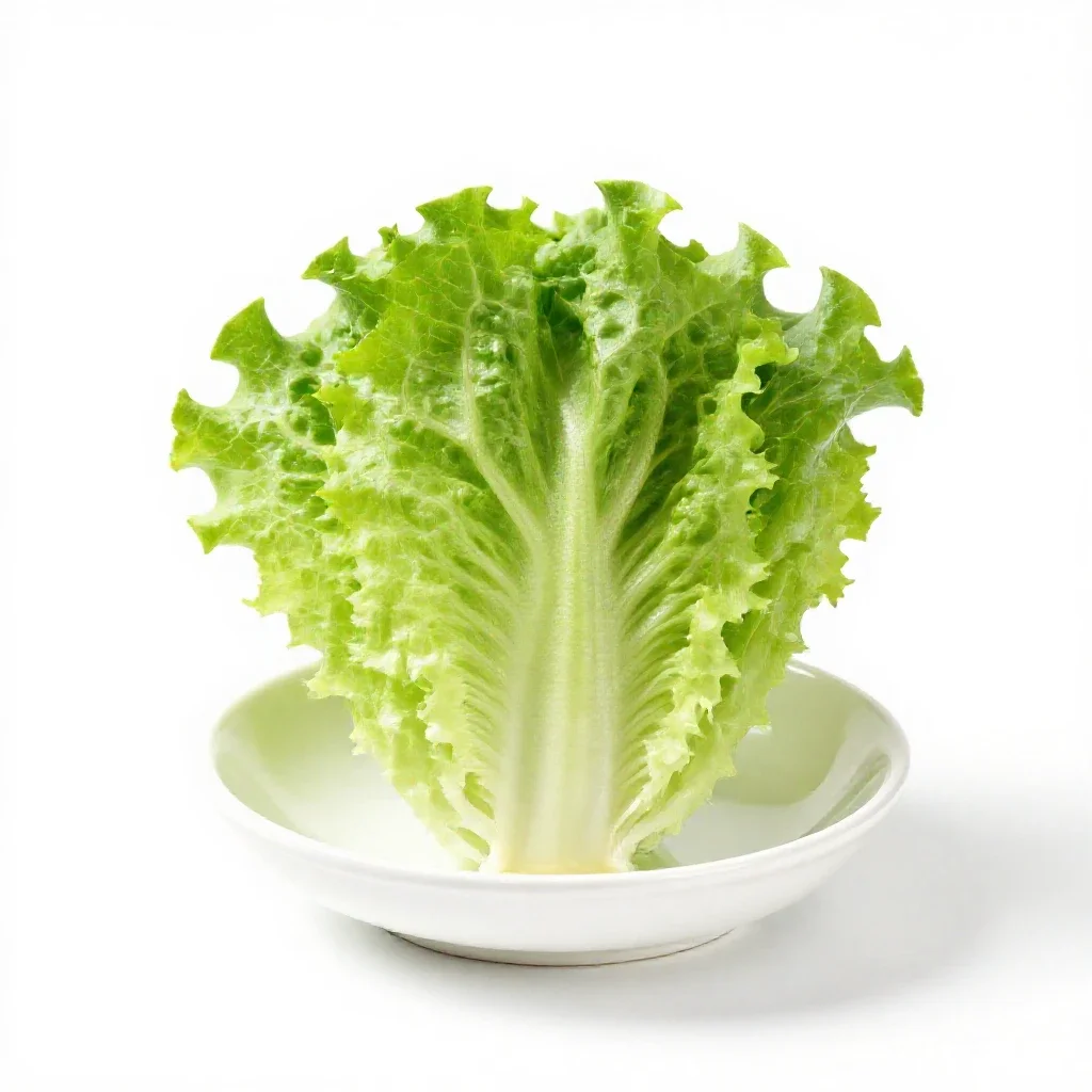 Lettuce isolated on a white background