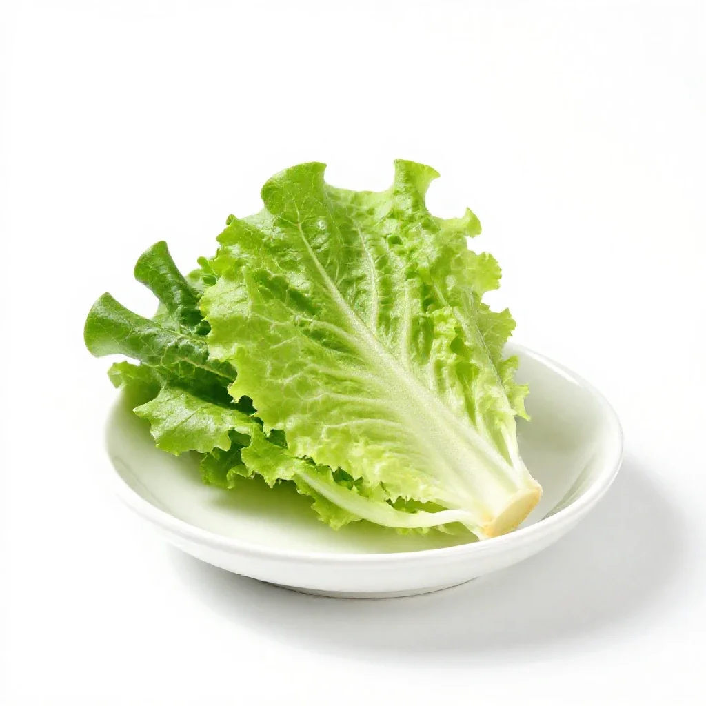 Salad burnet isolated on a white background