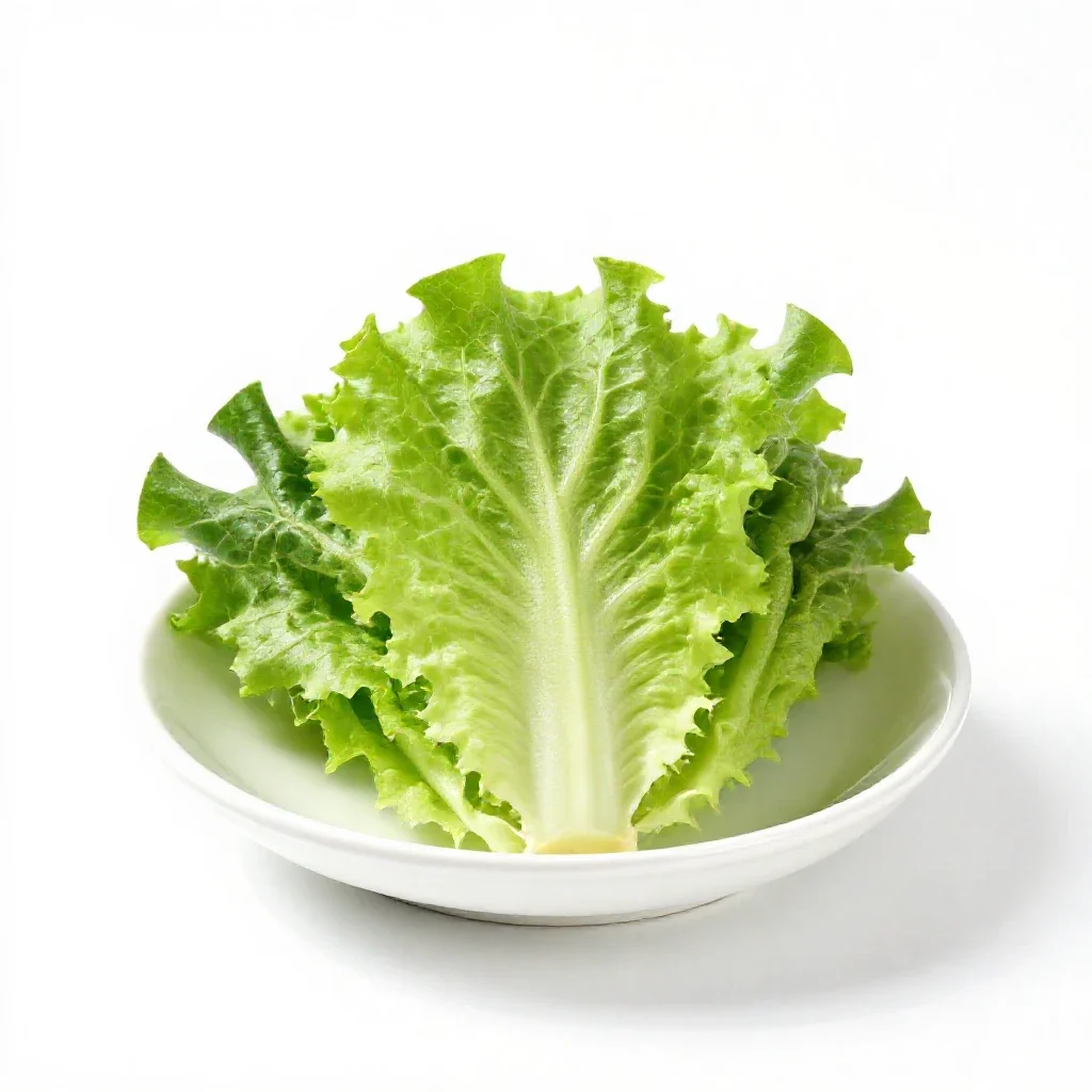 Salad green isolated on a white background