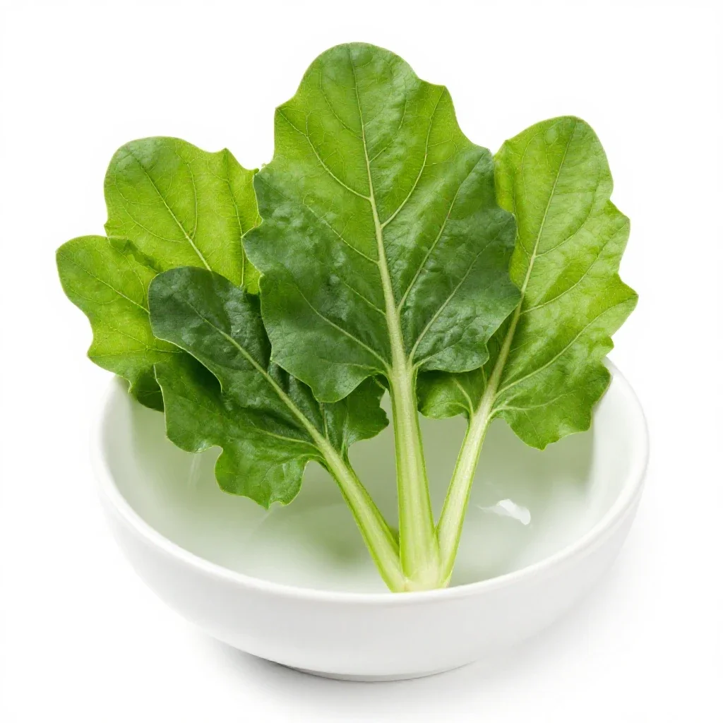 Sorrel isolated on a white background