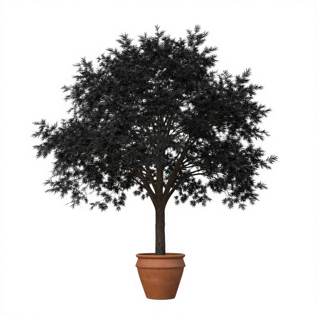 Black ash isolated on a white background