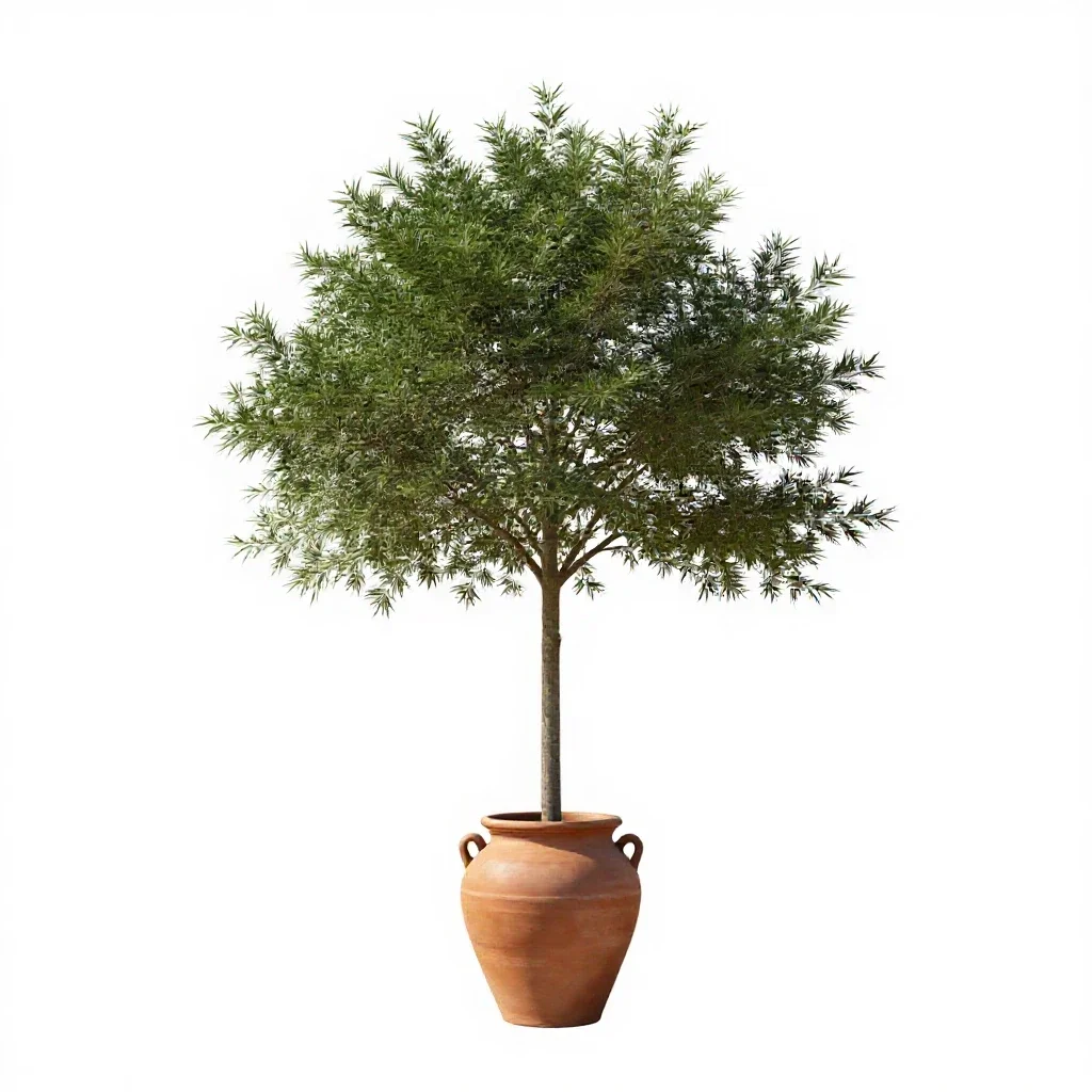 Lead tree isolated on a white background