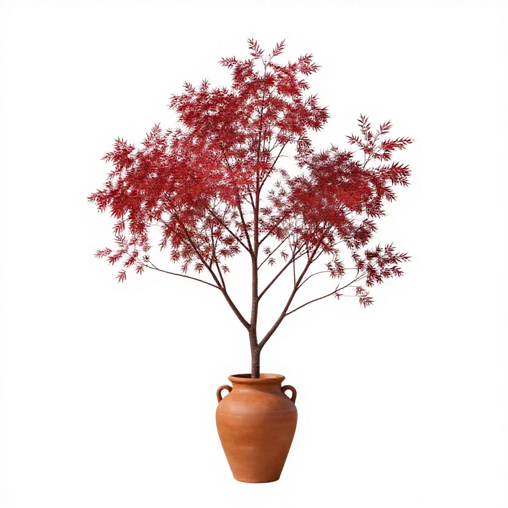 Red gum isolated on a white background