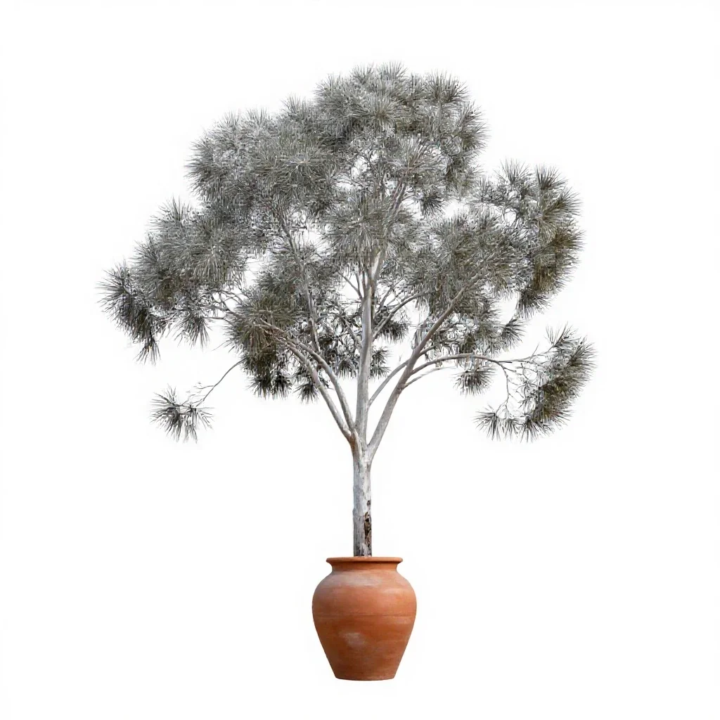 Silver tree isolated on a white background