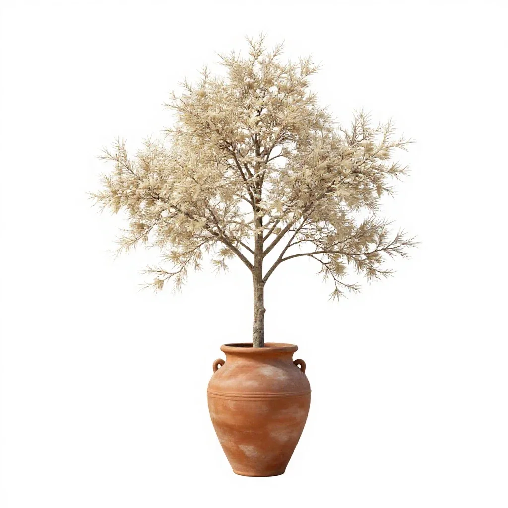 Ivory tree isolated on a white background