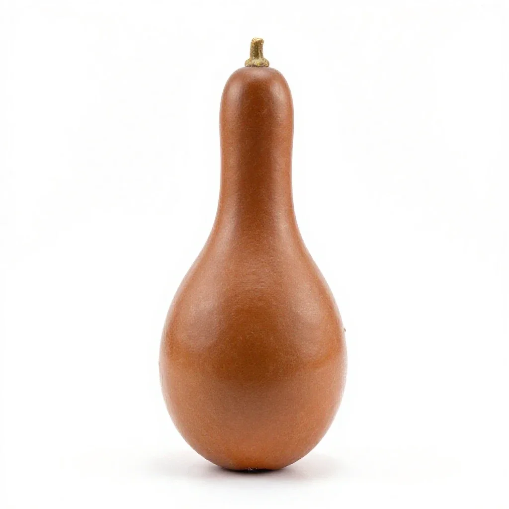 Bottle gourd isolated on a white background