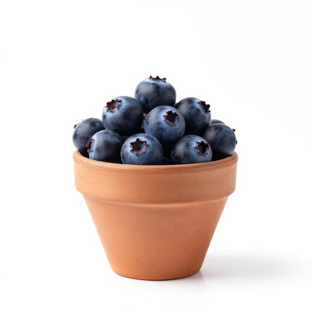 Box huckleberry isolated on a white background