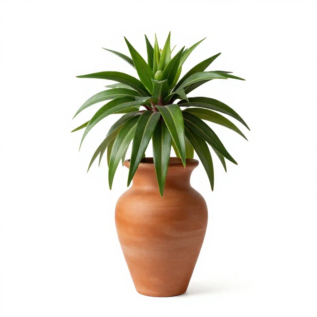 Crown imperial isolated on a white background