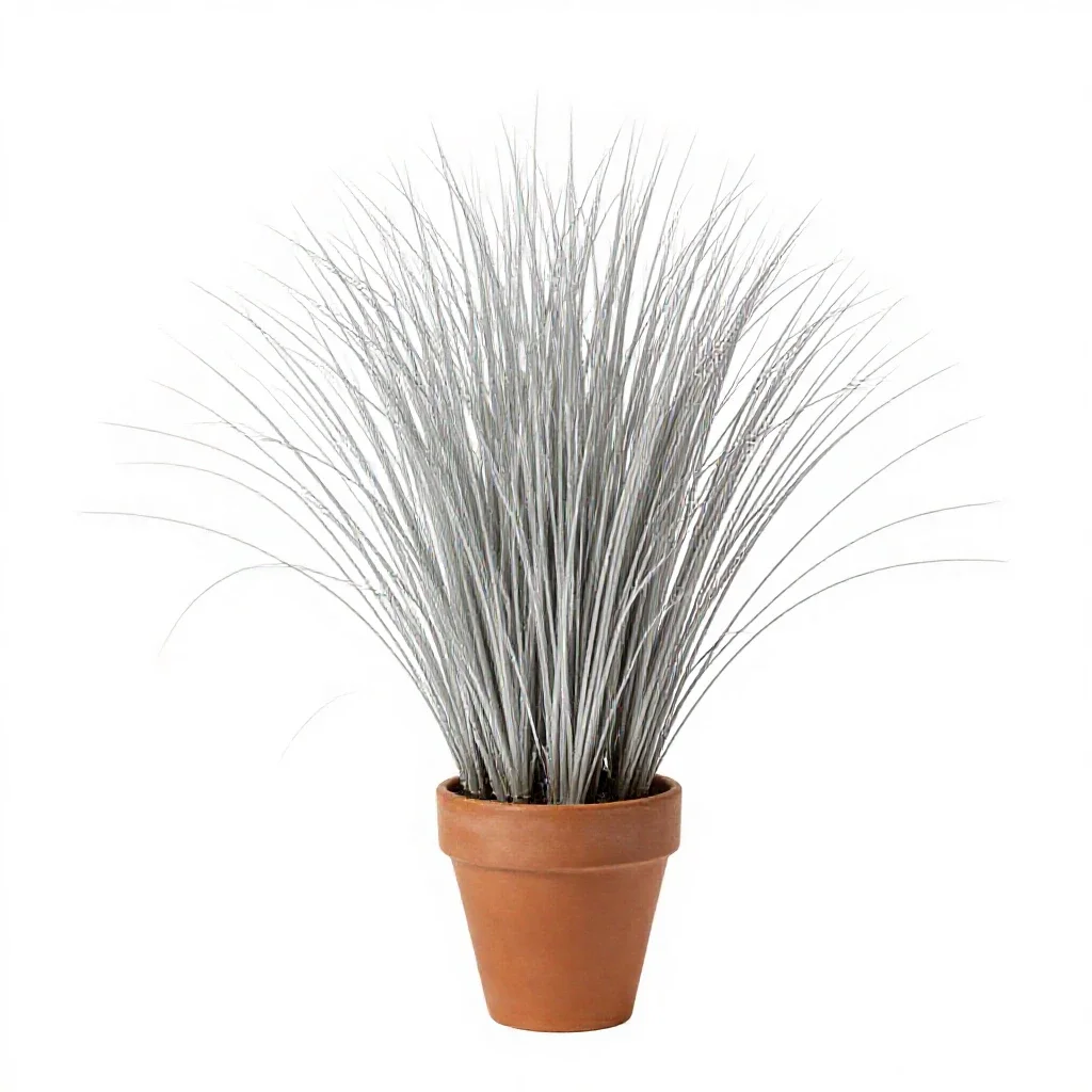 Silver grass isolated on a white background