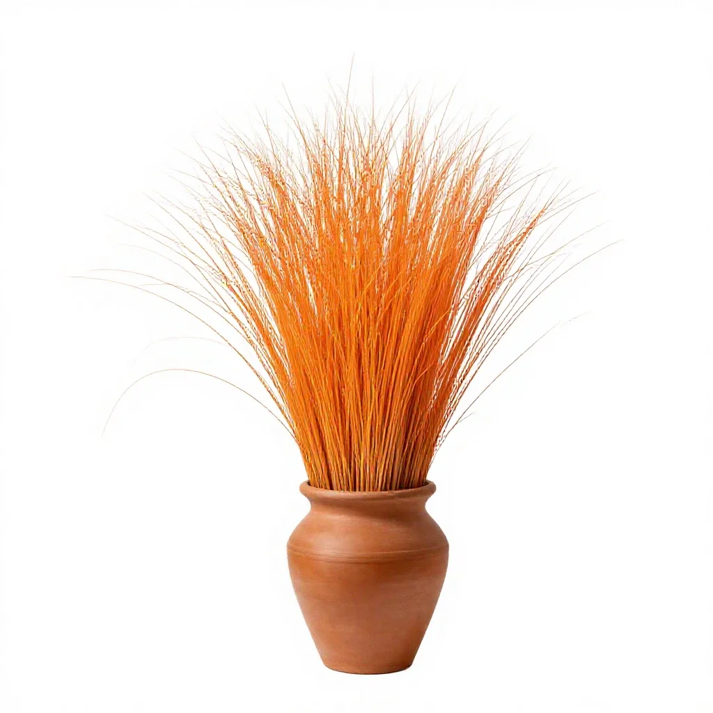 Orange grass isolated on a white background